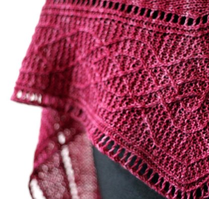 Celtic Cable Shawls e-book