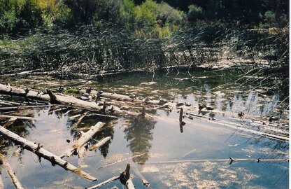 Turtle Lake