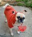 Fox Dog Costume Sweater