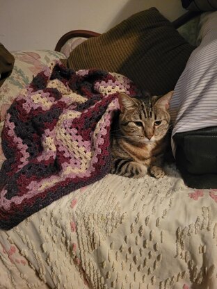 Stacktangle Blanket