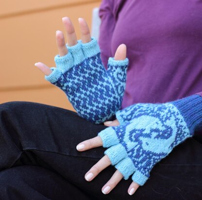 Dancing Dolphin Mitts