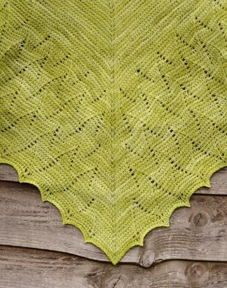 Spring Etude Shawl