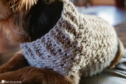Dandy Dog Sweater