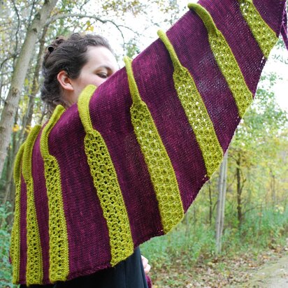 Plicata Shawl