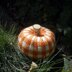 Buffalo Plaid Pumpkin