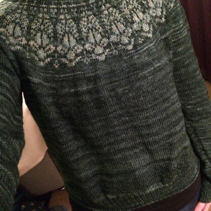 Chauncey sweater in green