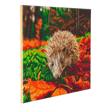 Crystal Art Hedgehog, 40x50cm Diamond Painting Kit