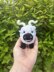 Valais Black Nose Sheep