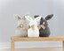 Modern Bunny Pillows