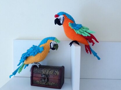 Macaw parrots