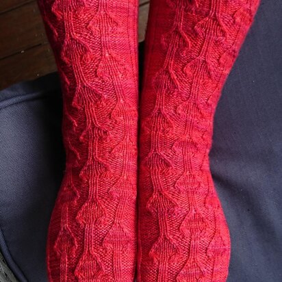 Trottola socks