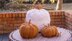 Cinderella's Crochet Pumpkin.