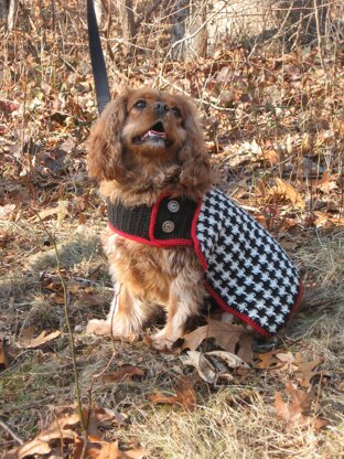 The Hound of the Baskervilles Dog Coat