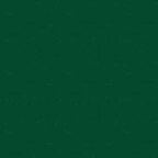 Forest (1473/G10)