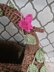 Fairy Hollow Log Basket