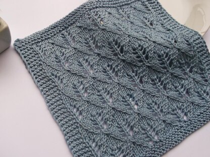 Fiume dishcloth