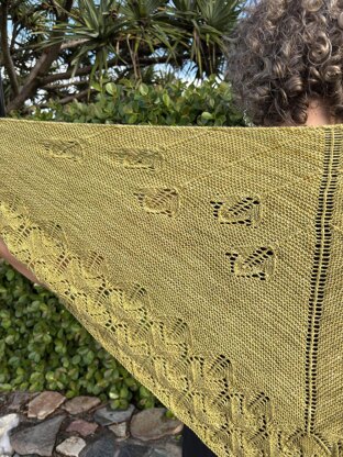 Fronde Shawl