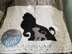 Lion King Baby Blanket