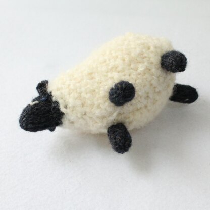 Fair Isle Sheep