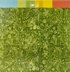 Graphic 45 Double-Sided Paper Pad 12"X12" 16/Pkg - Lost In Paradise, 8 Designs/2 Each