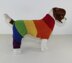 Rainbow Dog Onesie