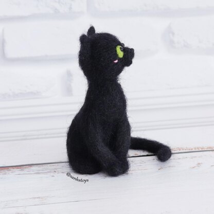 Black cat