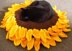 Sunflower Pet Bed