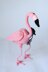 Pink flamingo