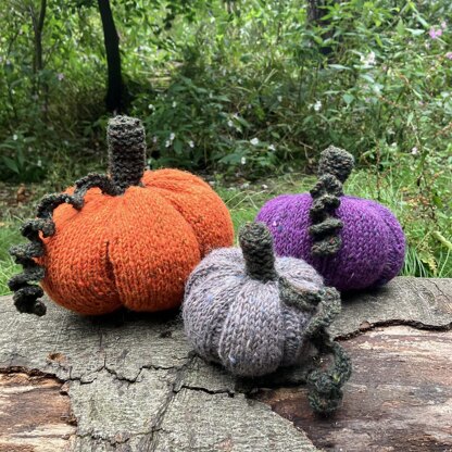 Pumpkin Patch Family [knit]