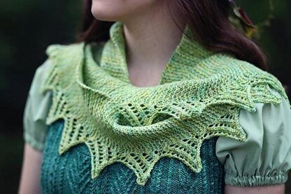 Wyvern Shawl