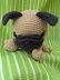 Pug