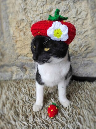 Strawberry Cat Hat