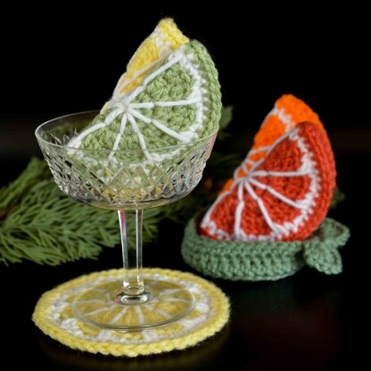 Citrus Fruit Slices Coaster