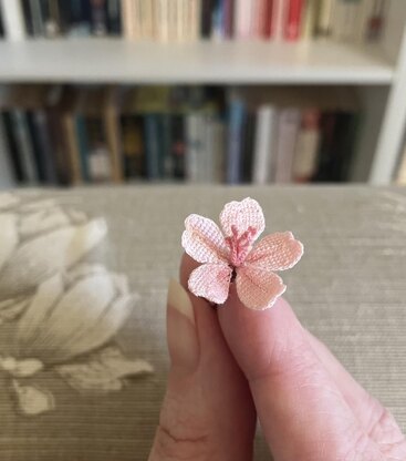 Cherry blossom branch