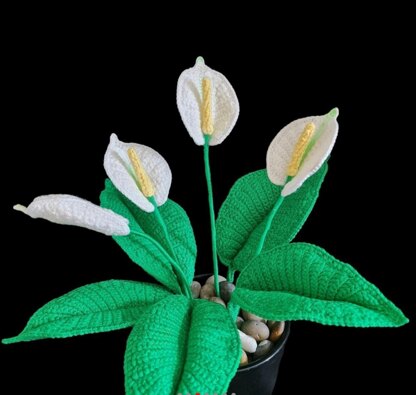 Crochet Peace Lily flowers