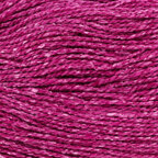 Raspberry (233)