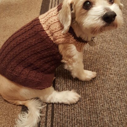 Bailey's Mock Cable Jacket - knitting pattern