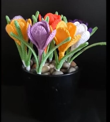 Crochet Crocus flowers