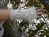 Frosted Winterberry Fingerless Gloves