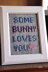 Some Bunny Loves You Knitted Wall Art