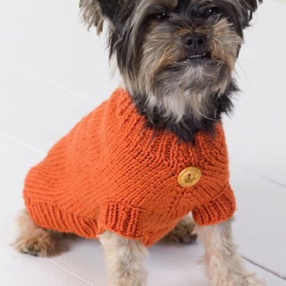 Dog Sweater in Red Heart Super Saver Economy Solids - WR2036