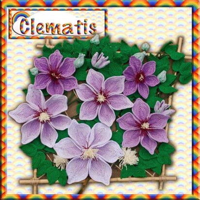 Clematis