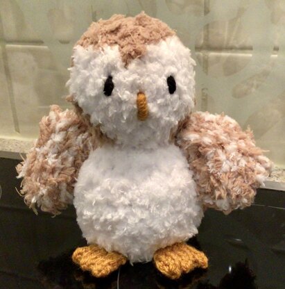 Baby Barn Owl - Chocolate Orange Cover