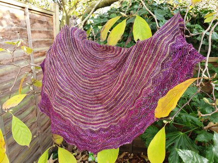 Delightful shawl #8