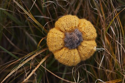 Knitted autumn pumpkins pattern in 3 sizes.