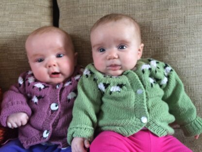 Baby Sweaters for twins