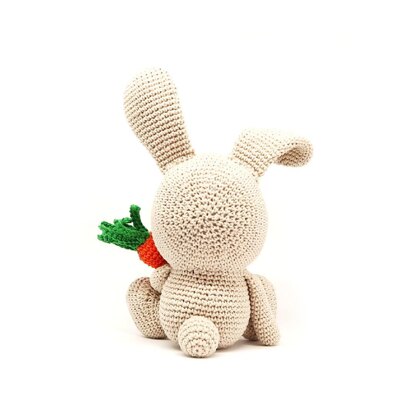 BUNNY with Carrot