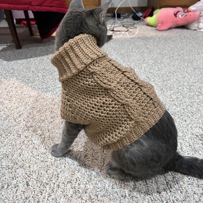 Easy cable pet sweater