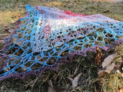 Seashell Fan Shawl