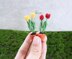 Miniature potted tulips